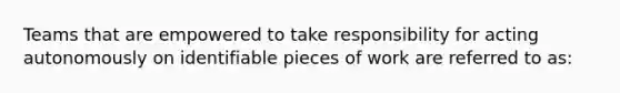 Teams that are empowered to take responsibility for acting autonomously on identifiable pieces of work are referred to as: