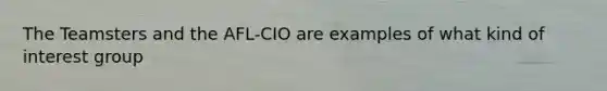 The Teamsters and the AFL-CIO are examples of what kind of interest group