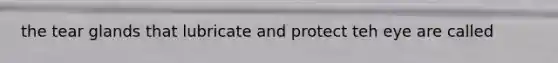 the tear glands that lubricate and protect teh eye are called