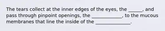 The tears collect at the inner edges of the eyes, the ______, and pass through pinpoint openings, the _____________, to the mucous membranes that line the inside of the _______________.