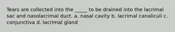 Tears are collected into the _____ to be drained into the lacrimal sac and nasolacrimal duct. a. nasal cavity b. lacrimal canaliculi c. conjunctiva d. lacrimal gland