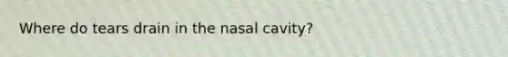 Where do tears drain in the nasal cavity?