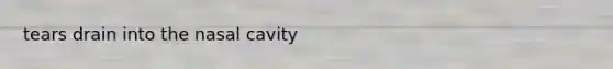 tears drain into the nasal cavity