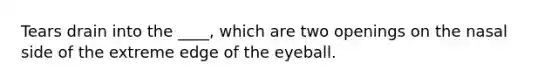 Tears drain into the ____, which are two openings on the nasal side of the extreme edge of the eyeball.