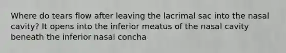 Where do tears flow after leaving the lacrimal sac into the nasal cavity? It opens into the inferior meatus of the nasal cavity beneath the inferior nasal concha