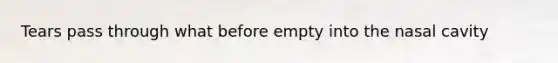 Tears pass through what before empty into the nasal cavity