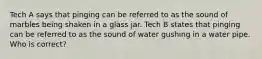 Tech A says that pinging can be referred to as the sound of marbles being shaken in a glass jar. Tech B states that pinging can be referred to as the sound of water gushing in a water pipe. Who is correct?