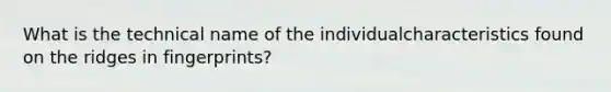 What is the technical name of the individualcharacteristics found on the ridges in fingerprints?