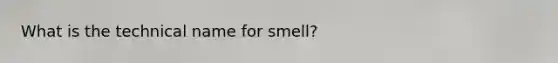 What is the technical name for smell?