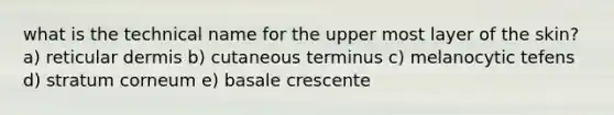 what is the technical name for the upper most layer of the skin? a) reticular dermis b) cutaneous terminus c) melanocytic tefens d) stratum corneum e) basale crescente