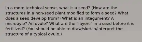 In a more technical sense, what is a seed? (How are the structures in a non-seed plant modified to form a seed? What does a seed develop from?) What is an integument? A micropyle? An ovule? What are the "layers" in a seed before it is fertilized? (You should be able to draw/sketch/interpret the structure of a typical ovule.)