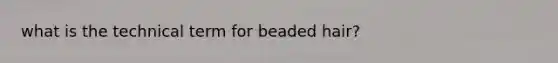 what is the technical term for beaded hair?