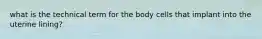 what is the technical term for the body cells that implant into the uterine lining?