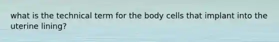 what is the technical term for the body cells that implant into the uterine lining?