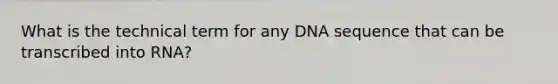 What is the technical term for any DNA sequence that can be transcribed into RNA?