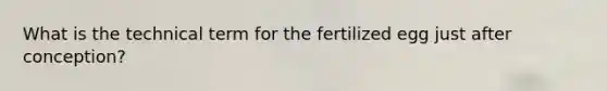 What is the technical term for the fertilized egg just after conception?