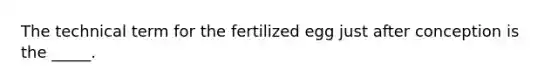 The technical term for the fertilized egg just after conception is the _____.