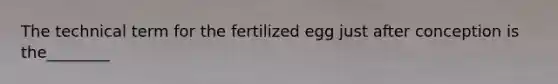 The technical term for the fertilized egg just after conception is the________