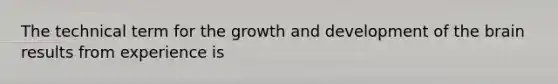 The technical term for the growth and development of the brain results from experience is