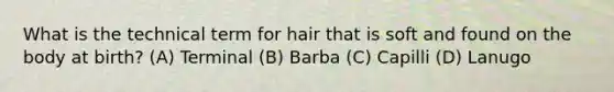 What is the technical term for hair that is soft and found on the body at birth? (A) Terminal (B) Barba (C) Capilli (D) Lanugo