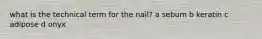 what is the technical term for the nail? a sebum b keratin c adipose d onyx