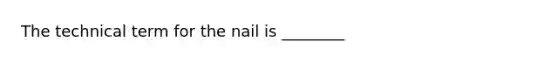 The technical term for the nail is ________