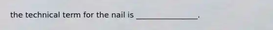 the technical term for the nail is ________________.