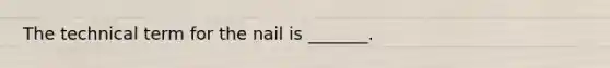 The technical term for the nail is _______.