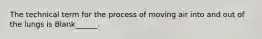 The technical term for the process of moving air into and out of the lungs is Blank______.