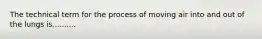 The technical term for the process of moving air into and out of the lungs is..........