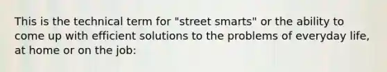 This is the technical term for "street smarts" or the ability to come up with efficient solutions to the problems of everyday life, at home or on the job: