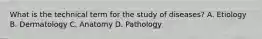 What is the technical term for the study of diseases? A. Etiology B. Dermatology C. Anatomy D. Pathology