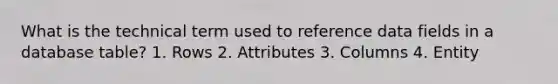 What is the technical term used to reference data fields in a database table? 1. Rows 2. Attributes 3. Columns 4. Entity