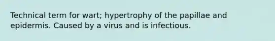 Technical term for wart; hypertrophy of the papillae and epidermis. Caused by a virus and is infectious.