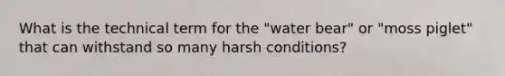 What is the technical term for the "water bear" or "moss piglet" that can withstand so many harsh conditions?