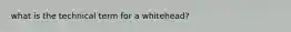 what is the technical term for a whitehead?