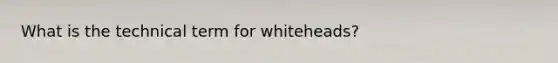 What is the technical term for whiteheads?