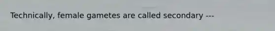 Technically, female gametes are called secondary ---