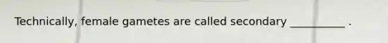 Technically, female gametes are called secondary __________ .