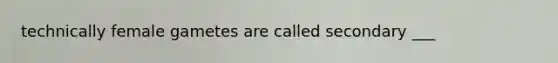 technically female gametes are called secondary ___