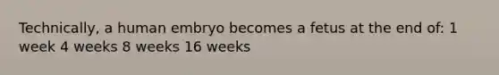 Technically, a human embryo becomes a fetus at the end of: 1 week 4 weeks 8 weeks 16 weeks