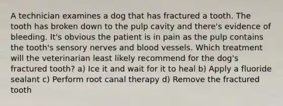 A technician examines a dog that has fractured a tooth. The tooth has broken down to the pulp cavity and there's evidence of bleeding. It's obvious the patient is in pain as the pulp contains the tooth's sensory nerves and blood vessels. Which treatment will the veterinarian least likely recommend for the dog's fractured tooth? a) Ice it and wait for it to heal b) Apply a fluoride sealant c) Perform root canal therapy d) Remove the fractured tooth