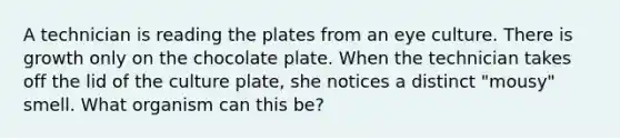 A technician is reading the plates from an eye culture. There is growth only on the chocolate plate. When the technician takes off the lid of the culture plate, she notices a distinct "mousy" smell. What organism can this be?