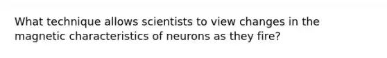 What technique allows scientists to view changes in the magnetic characteristics of neurons as they fire?