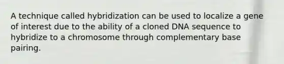 A technique called hybridization can be used to localize a gene of interest due to the ability of a cloned DNA sequence to hybridize to a chromosome through complementary base pairing.