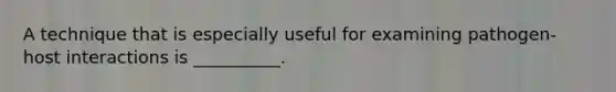 A technique that is especially useful for examining pathogen-host interactions is __________.