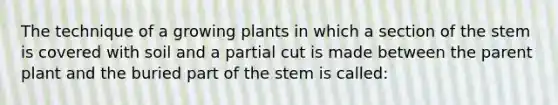 The technique of a growing plants in which a section of the stem is covered with soil and a partial cut is made between the parent plant and the buried part of the stem is called: