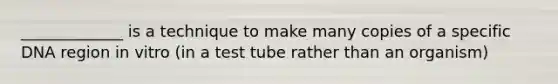 _____________ is a technique to make many copies of a specific DNA region in vitro (in a test tube rather than an organism)