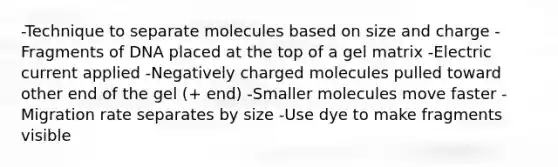 -Technique to separate molecules based on size and charge -Fragments of DNA placed at the top of a gel matrix -Electric current applied -Negatively charged molecules pulled toward other end of the gel (+ end) -Smaller molecules move faster -Migration rate separates by size -Use dye to make fragments visible