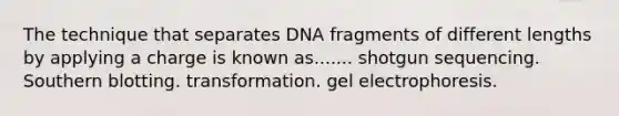 The technique that separates DNA fragments of different lengths by applying a charge is known as....... shotgun sequencing. Southern blotting. transformation. gel electrophoresis.